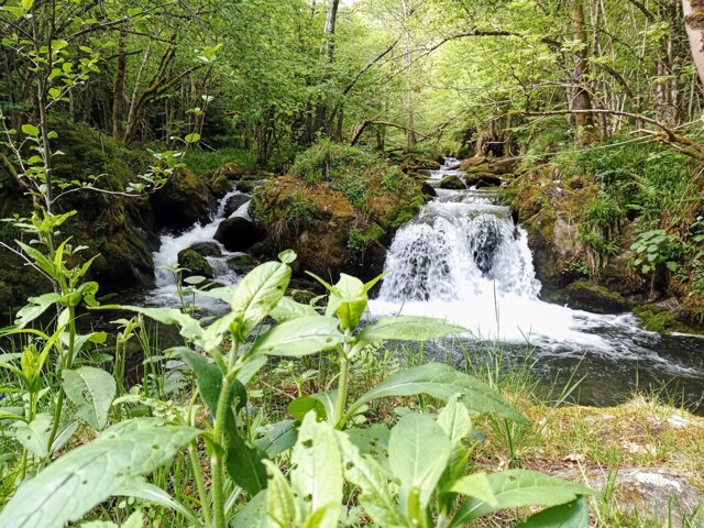 Cascade sur le Touyre - La Peyregade